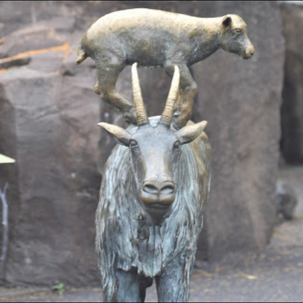 Meet your Posher, Soccer Goat